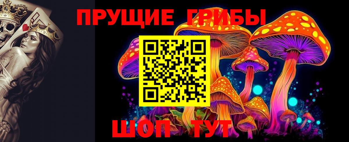 Кокаин Славгород